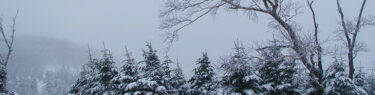 雪と霧に包まれた蓼科山山中