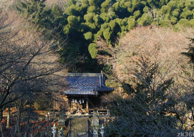 正月の高尾山麓 氷川神社