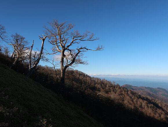 丹沢山から蛭ヶ岳へ