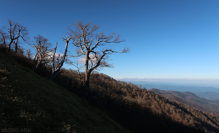 丹沢山から蛭ヶ岳へ