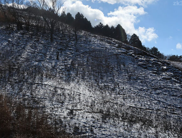 愛鷹山の野焼き跡に現れた白黒の絶景