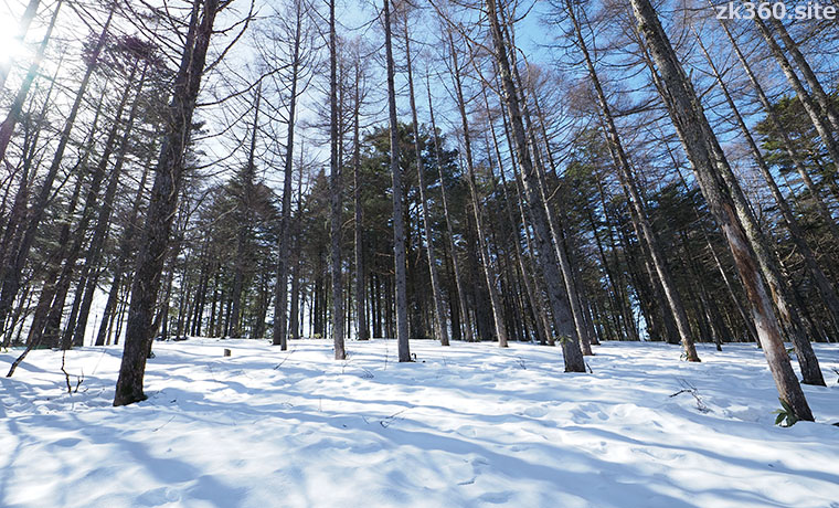 雪山の春