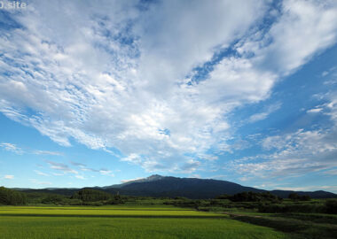 青田超しに望む夏の鳥海山