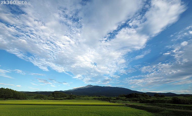 青田超しに望む夏の鳥海山