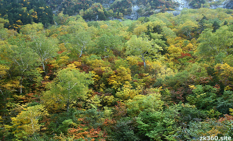 槍沢の紅葉