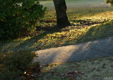昭和記念公園の片隅の小さな絶景