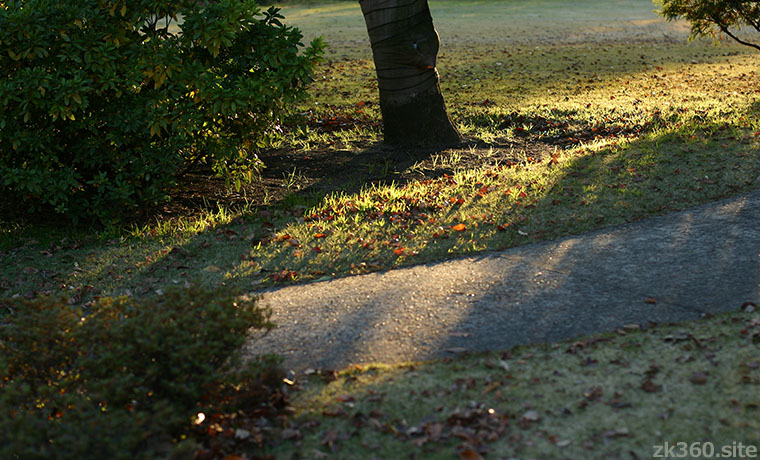 昭和記念公園の片隅の小さな絶景