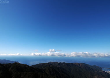 達磨山の中腹から駿河湾を見下ろす