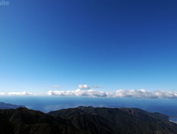 達磨山の中腹から駿河湾を見下ろす
