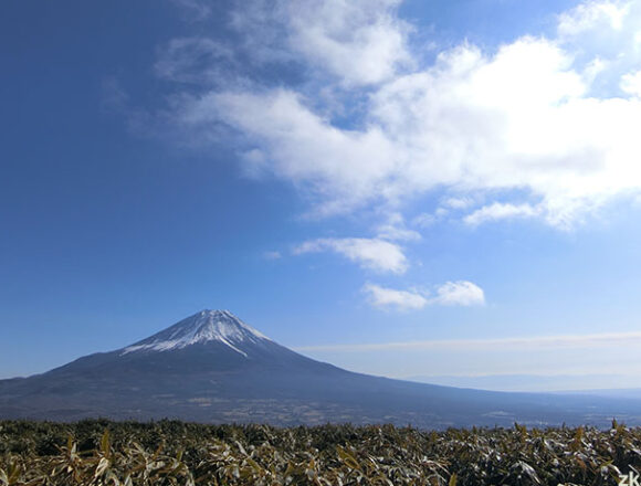 竜ヶ岳から望む冬晴れの富士山