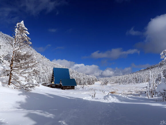 冬の北八ツ・八丁平と縞枯山荘