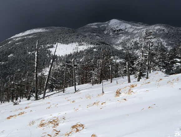 厳冬期の北横岳