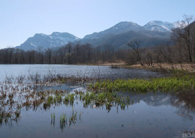 戸隠高原の古池から戸隠山を望む