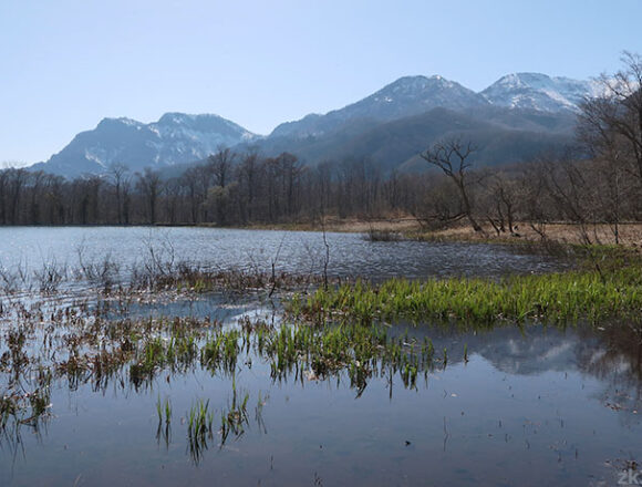 戸隠高原の古池から戸隠山を望む