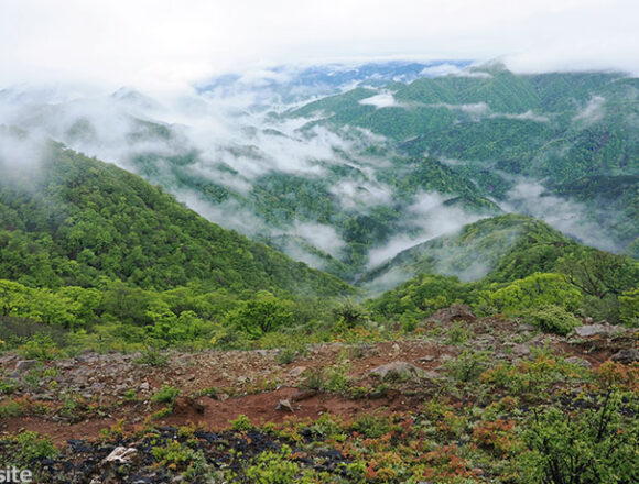 朝もやの丹沢山塊