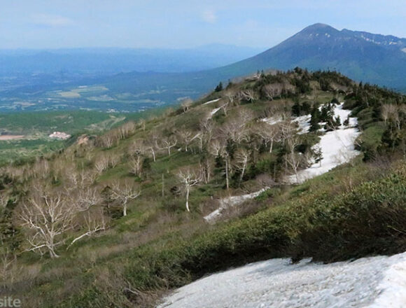 八幡平の茶臼岳から岩手山を望む