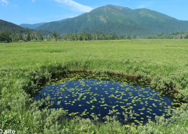 尾瀬ヶ原の池塘と至仏山