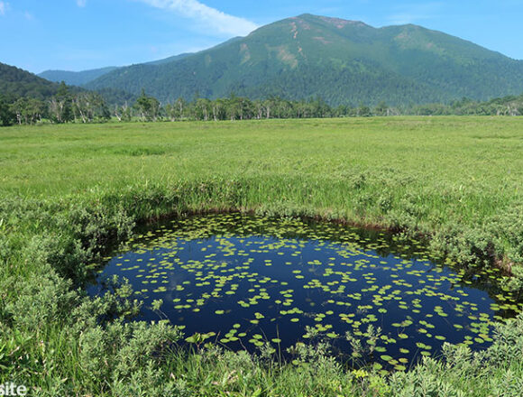 尾瀬ヶ原の池塘と至仏山